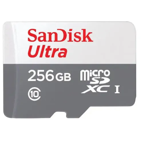 SanDisk Ultra 256GB Class-10 100mbps Micro SDXC UHS-I Memory Card